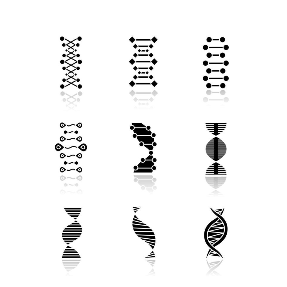 DNA double helix drop shadow black glyph icons set. Deoxyribonucleic, nucleic acid. Spiraling strands. Chromosome. Molecular biology. Genetic code. Genome. Genetics. Isolated vector illustrations