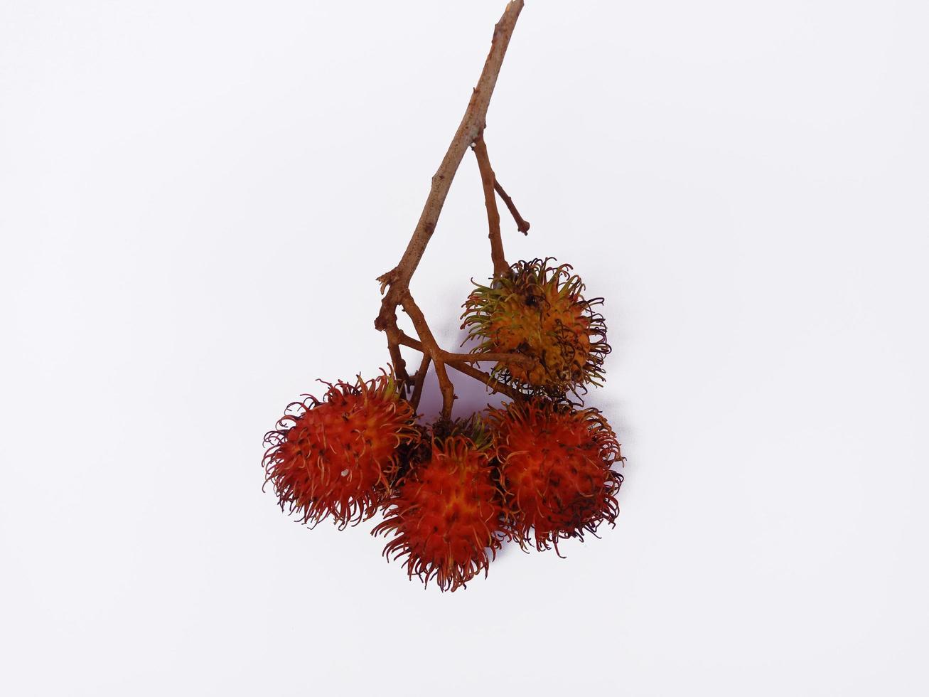 Top view rambutans isolated on white background photo