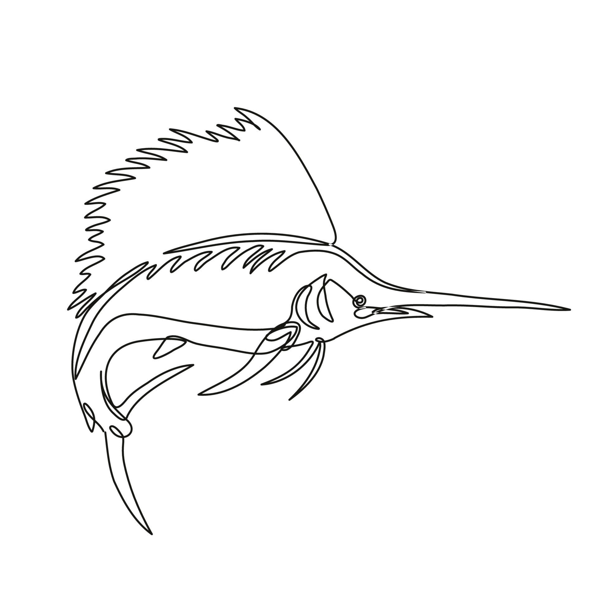Atlantic Sailfish or Istiophorus Albicans Jumping Continuous Line