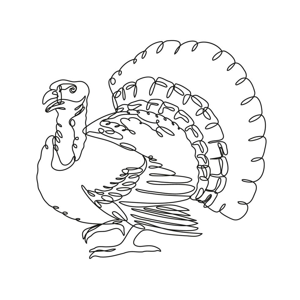 Wild Turkey or Domestic Turkey Side View Continuous Line Drawing vector