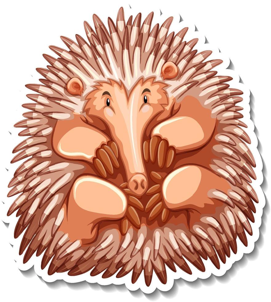 Echidna cartoon character on white background vector