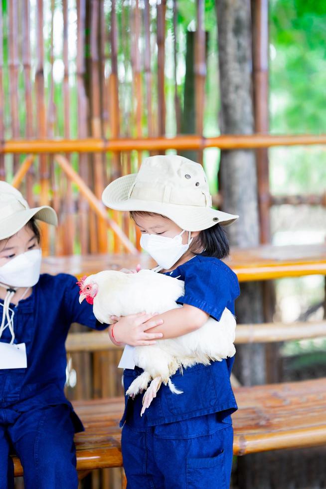 retrato de niña sosteniendo gallina grande. Niña en edad preescolar con mascarilla quirúrgica blanca 4d. foto