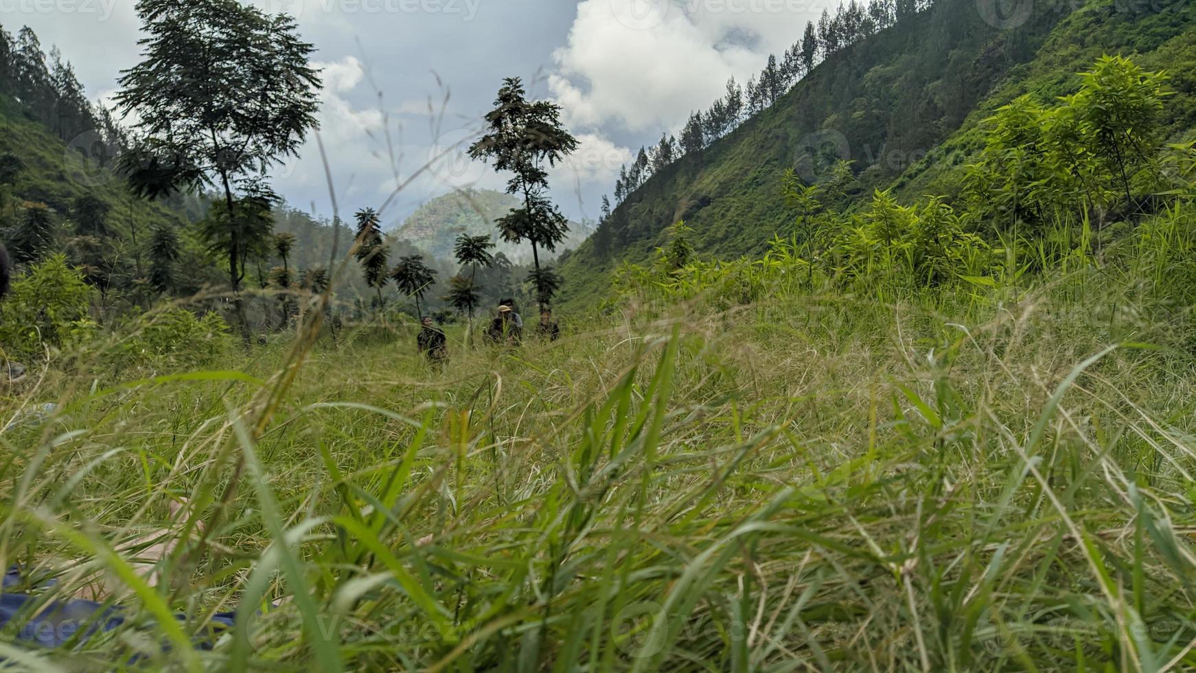 the meadow between the hills photo