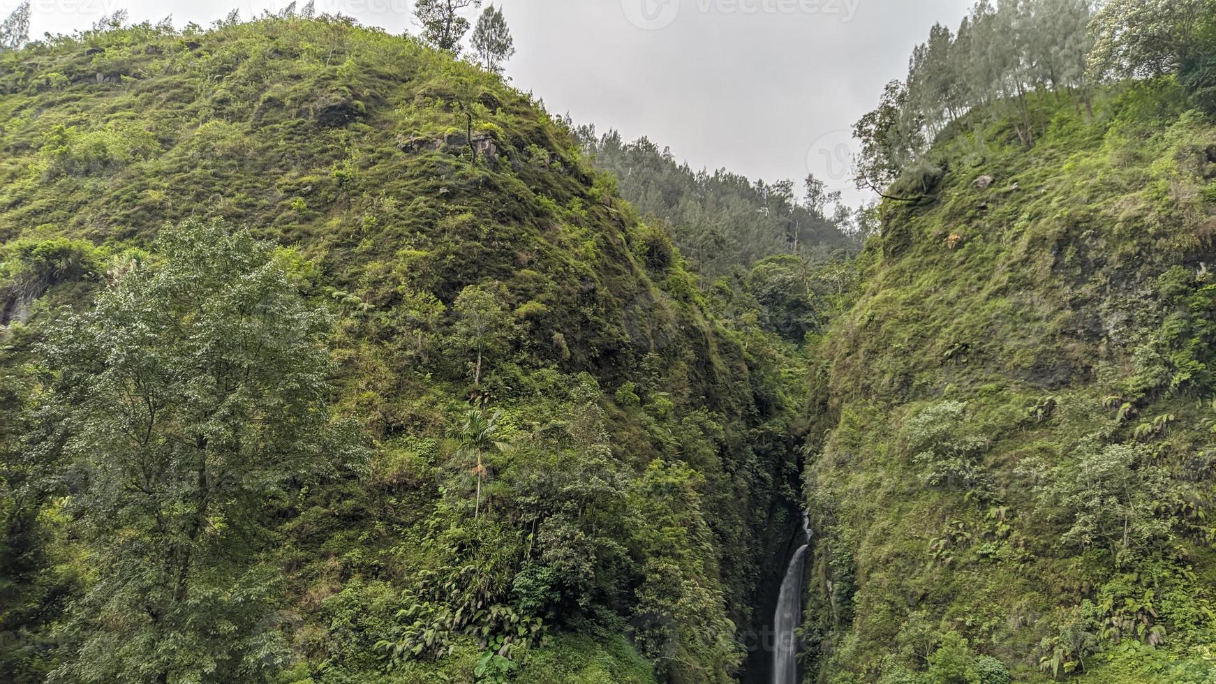 green hill full of grass and trees photo