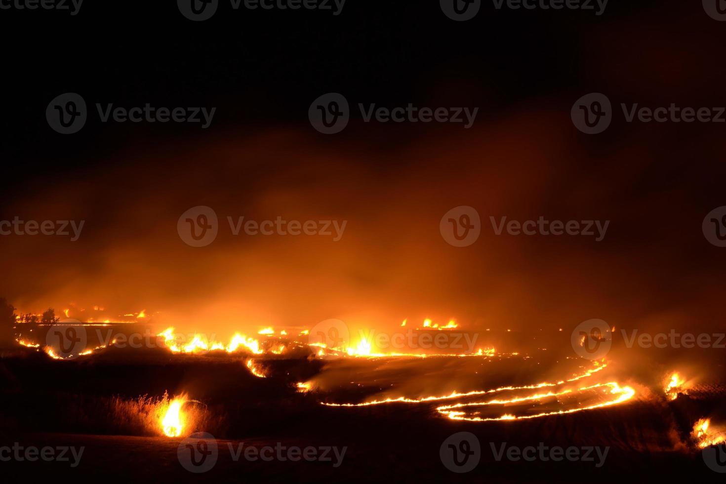 gran incendio en la llanura foto