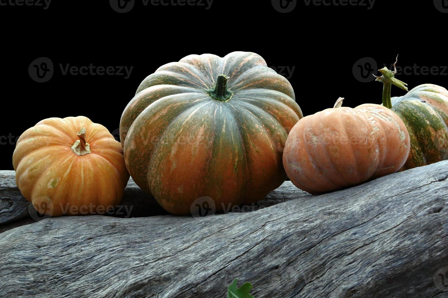 colección de diferentes calabazas para el mercado de verduras de otoño. colección de diferentes calabazas, tema de halloween. foto