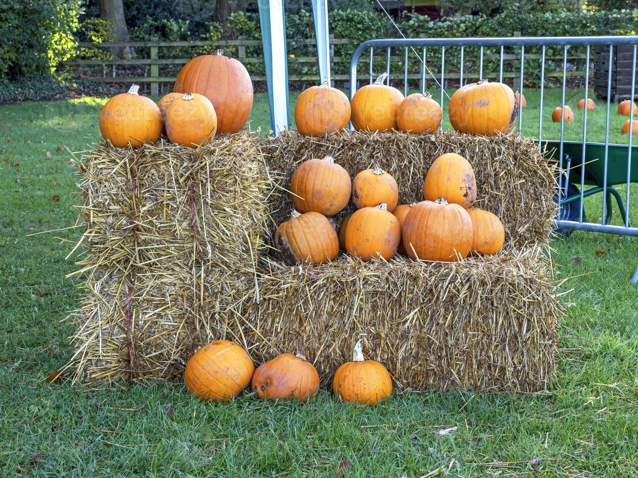 Pumpkins arranged on haystacks in a field photo