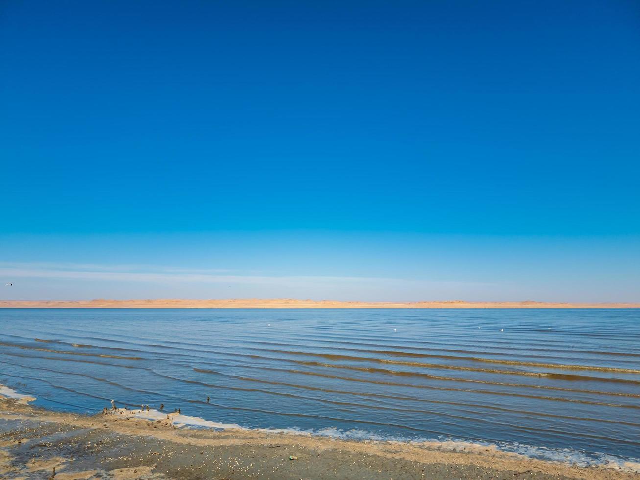 playa por la mañana foto