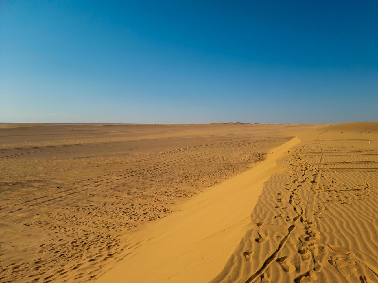 sand dunes in the desert photo