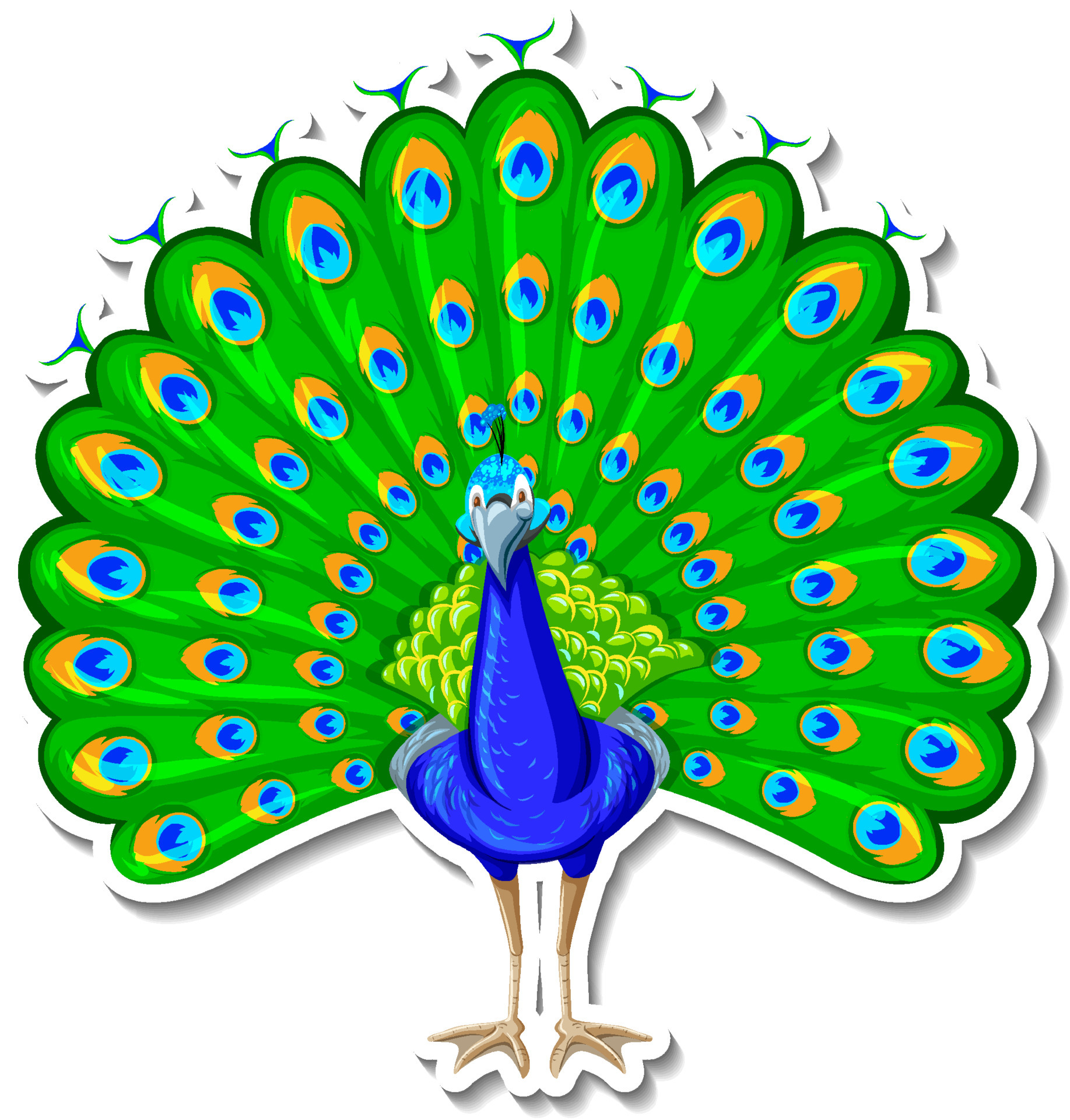 Peacock Clipart Vector Art, Icons, and Graphics for Free Download