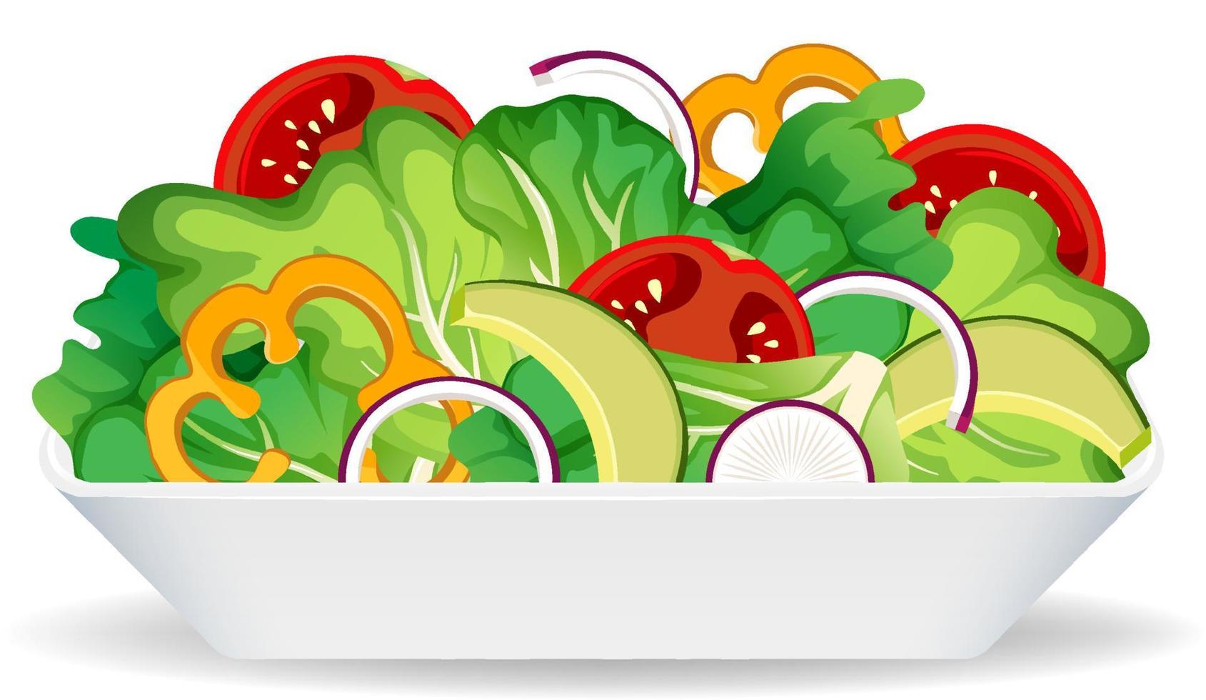 Healthy meal with fresh vegetable salad bowl vector