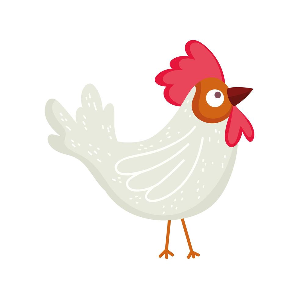 poultry rooster cartoon farm animal isolated icon on white background vector