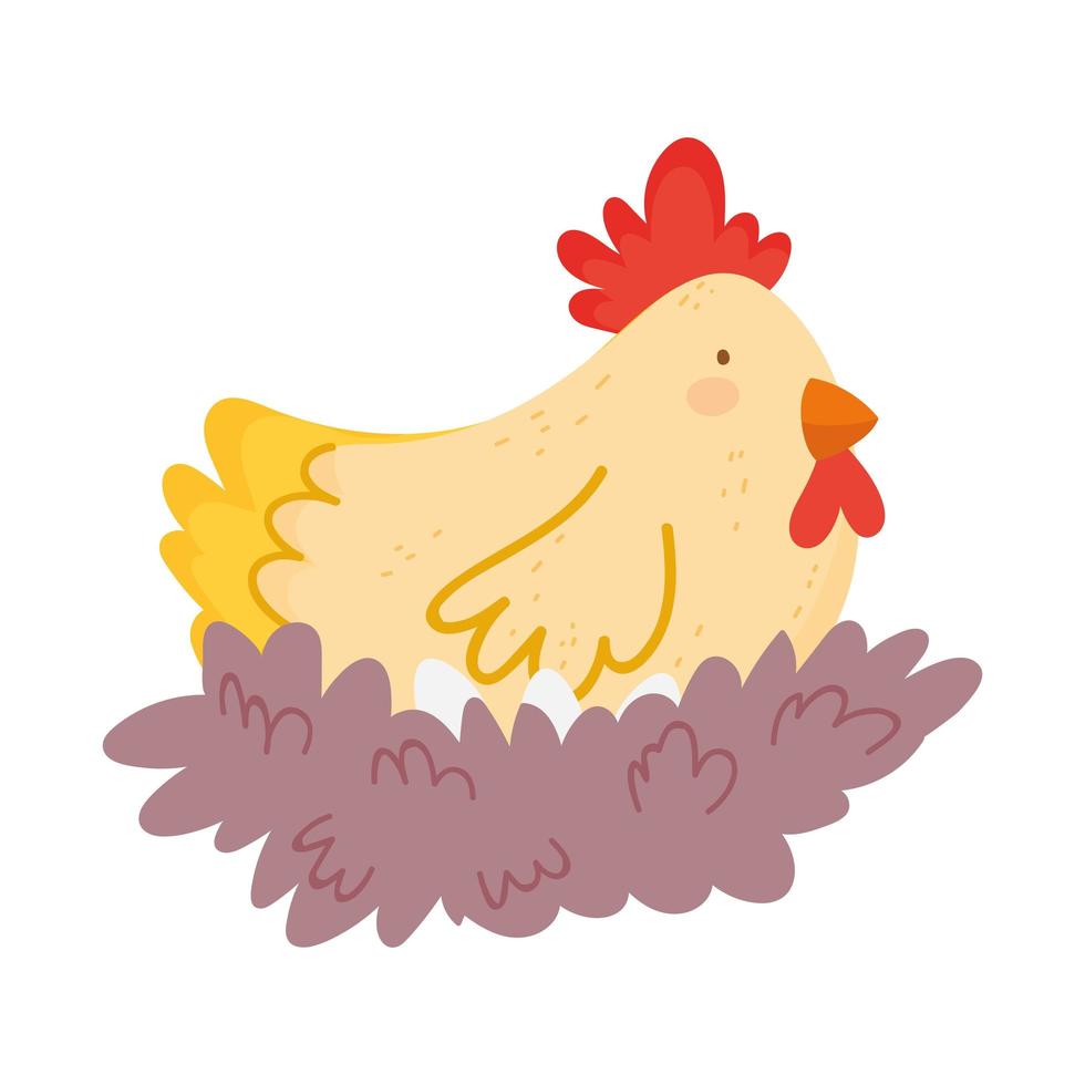 Gallina en nido de animales de granja icono aislado sobre fondo blanco. vector