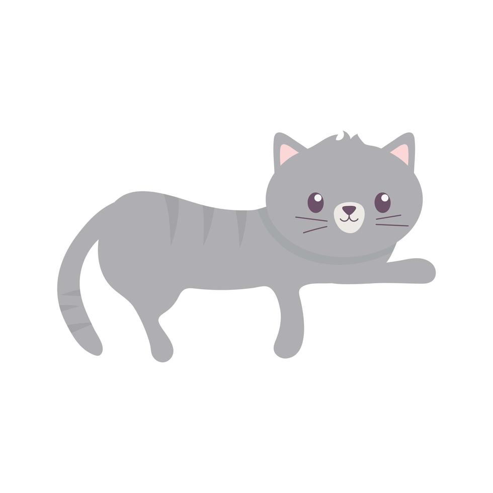 pequeño gato gris mascota icono aislado fondo blanco vector