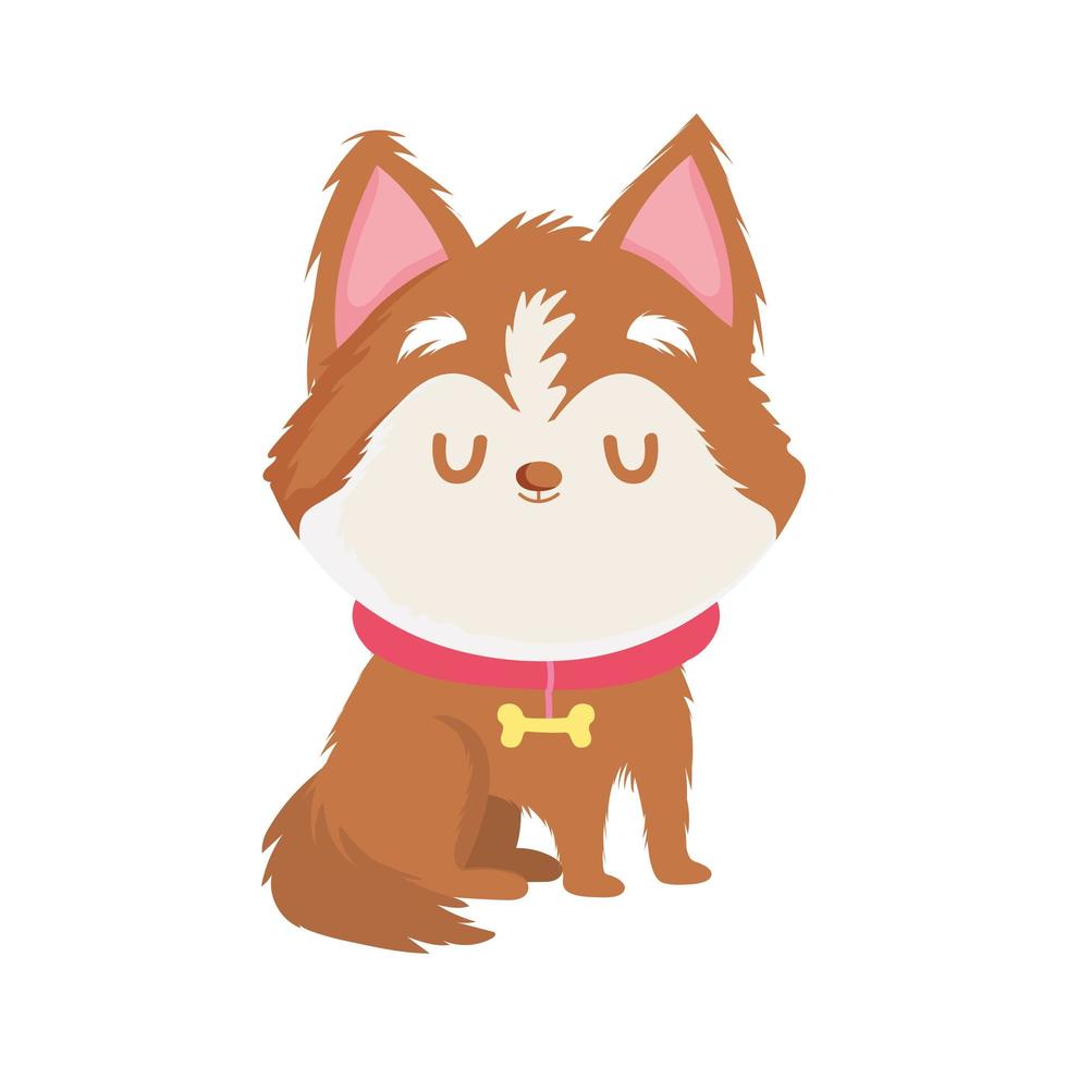 cute little dog with collar pet isolated icon white background vector