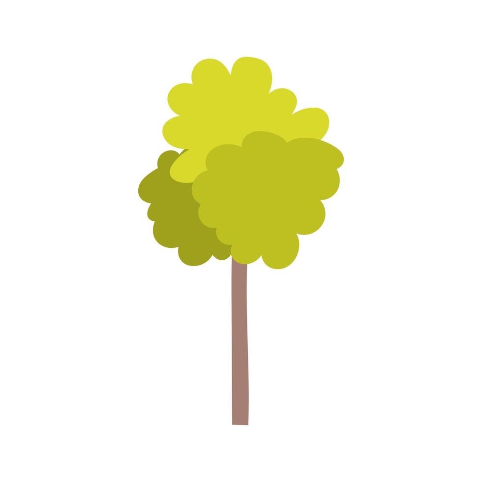 árbol, follaje, naturaleza, aislado, icono, fondo blanco vector