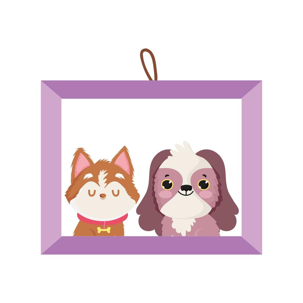frame picture dogs pet isolated icon white background vector