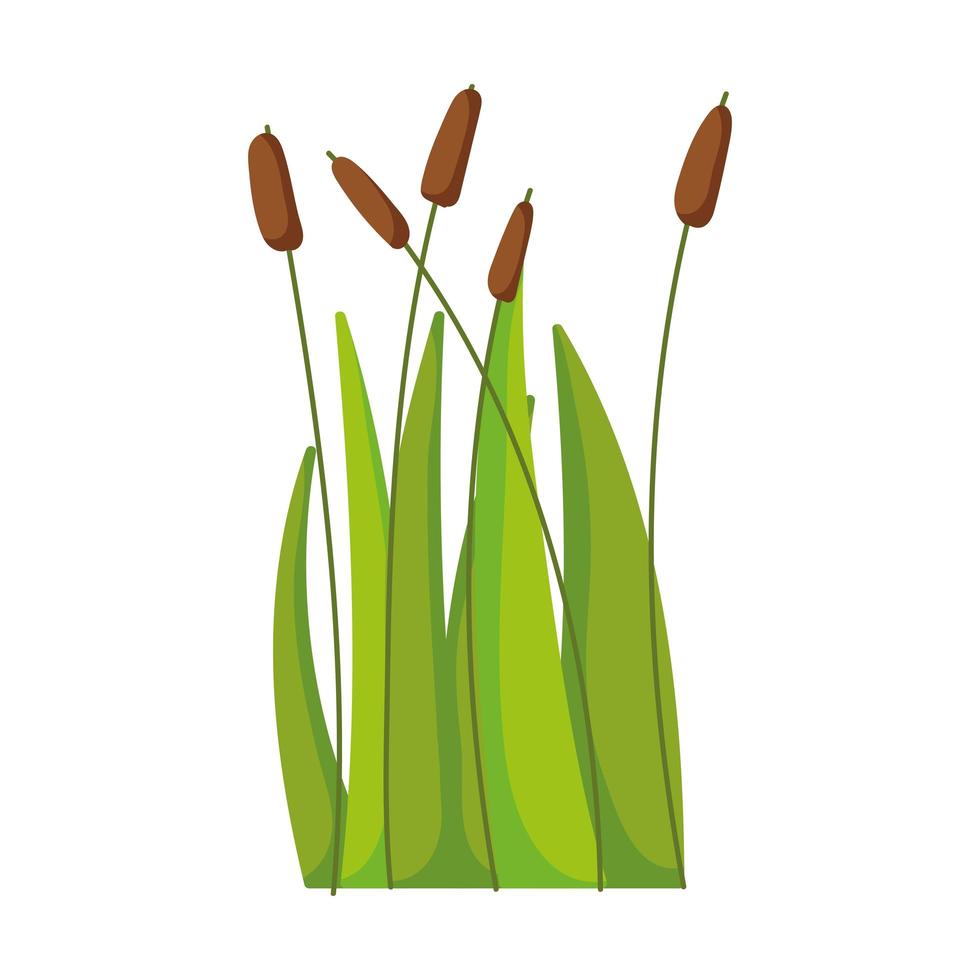 reed plant leaf grass swamp lake and river isolated icon on white background vector