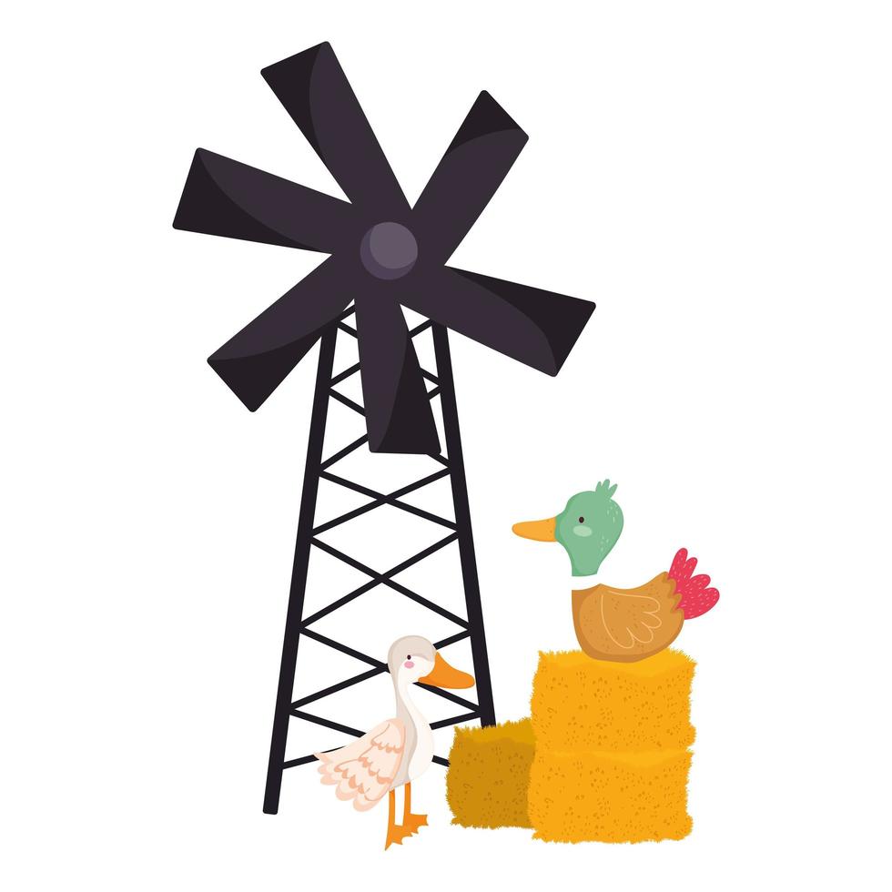 farm animals duck in hay and goose windmill cartoon vector