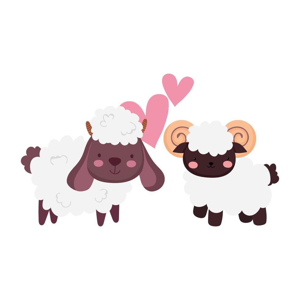 animales de granja ovejas y cabras amor corazones dibujos animados vector