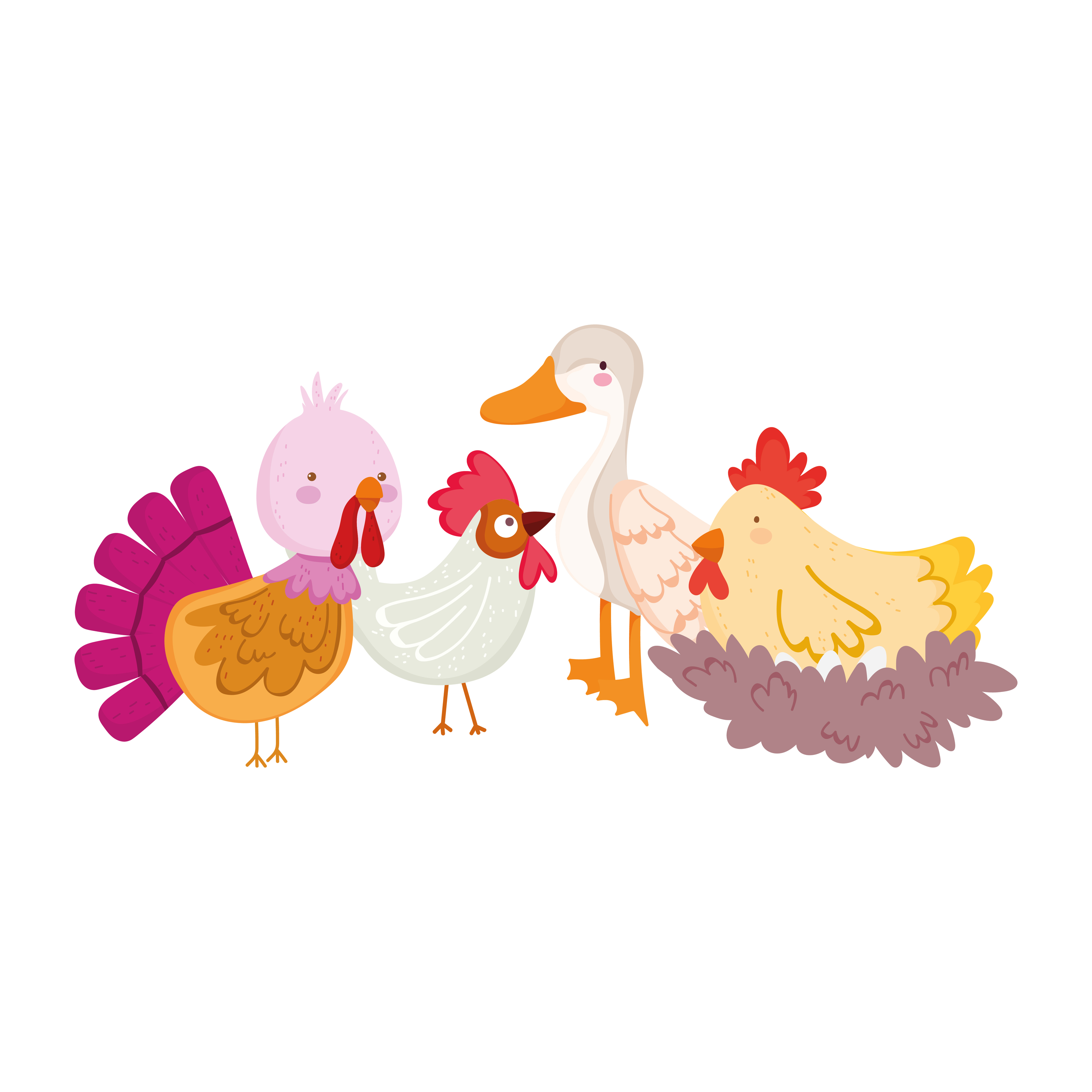 farm animals poultry goose duck rooster turkey hen and chicken cartoon