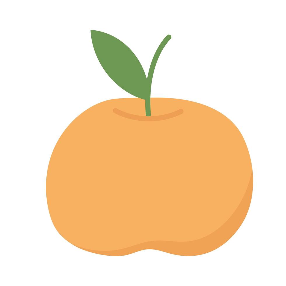 Isolated orange fruit vector design