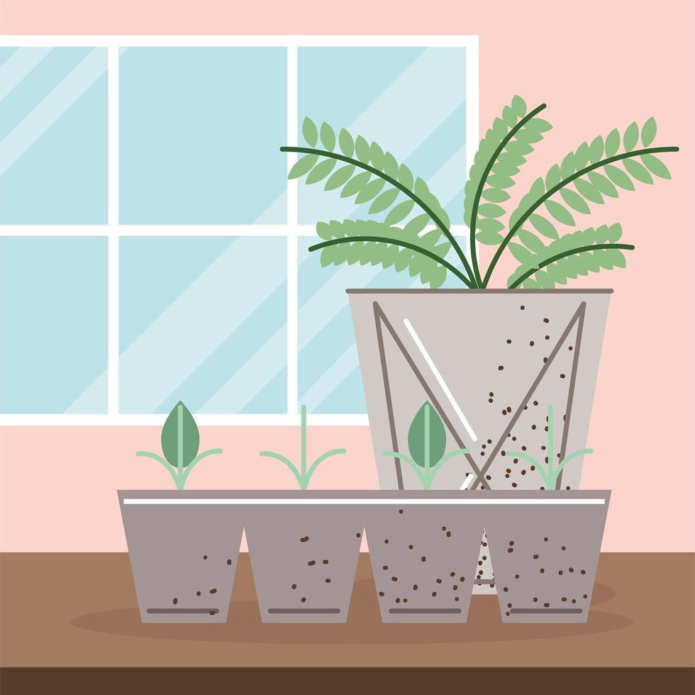 crecimiento de brotes y plantas de interior vector