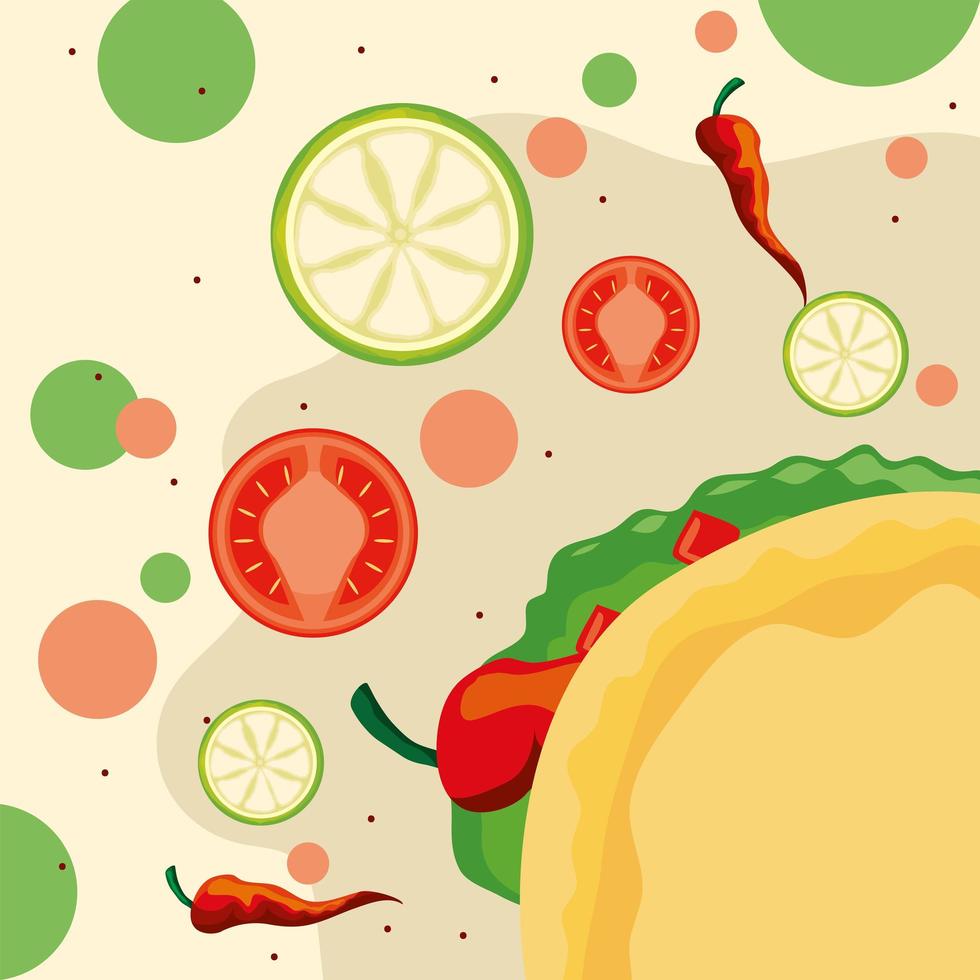 taco with vegetables vector