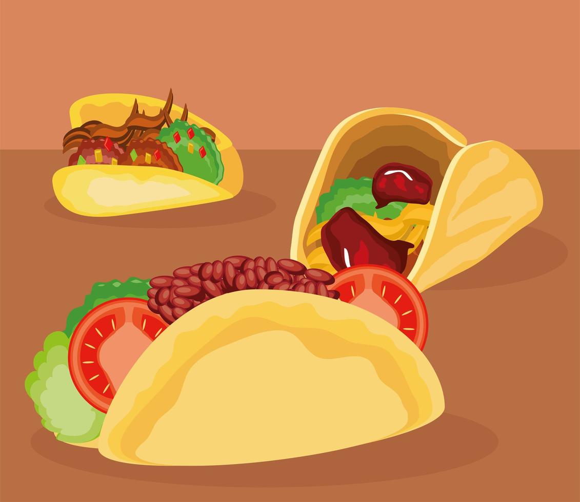 tacos diferentes ingredientes vector