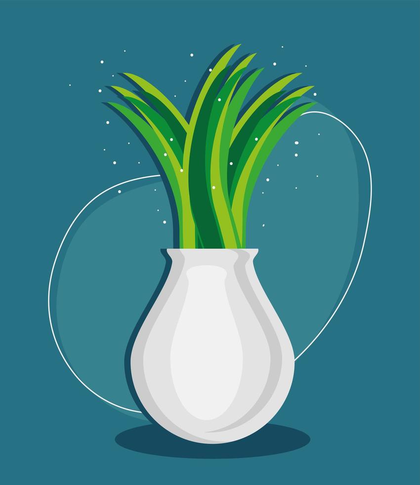 plant in vase vector