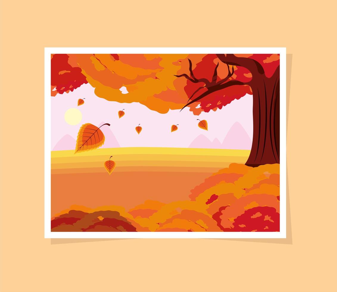 árbol de otoño hojas caídas vector