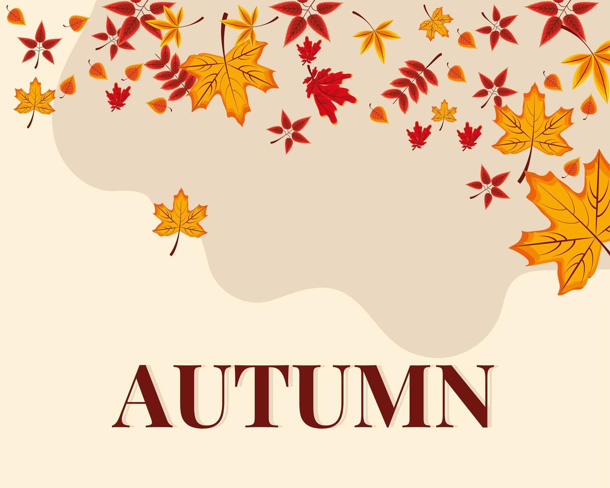 autumn season leaves vector