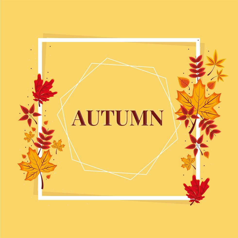 autumn frame and leaves vector