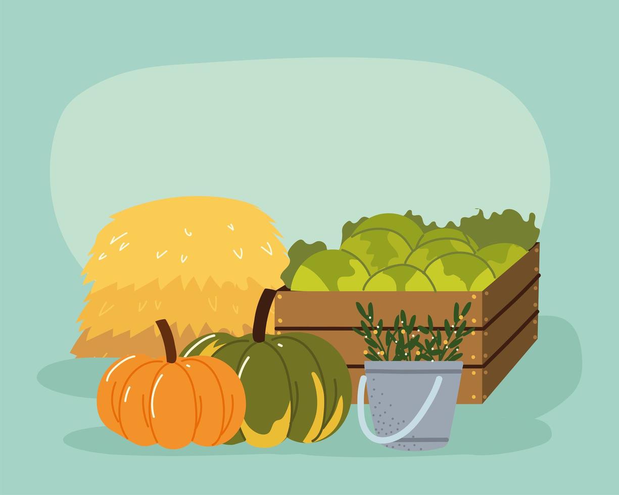 local organic food production vector