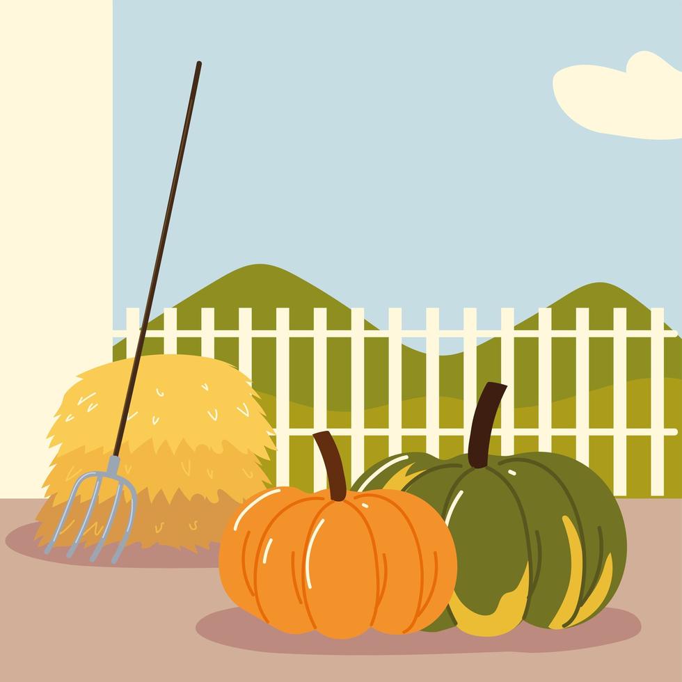 countryside pumpkins and rake vector