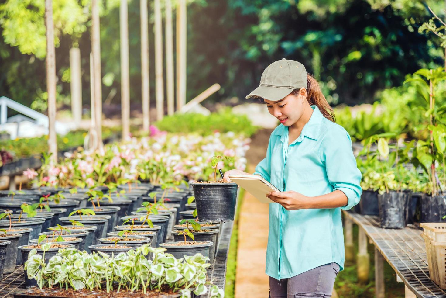 The girl are studying and Save the change of trees, flowers Beautiful background in nature farmers photo