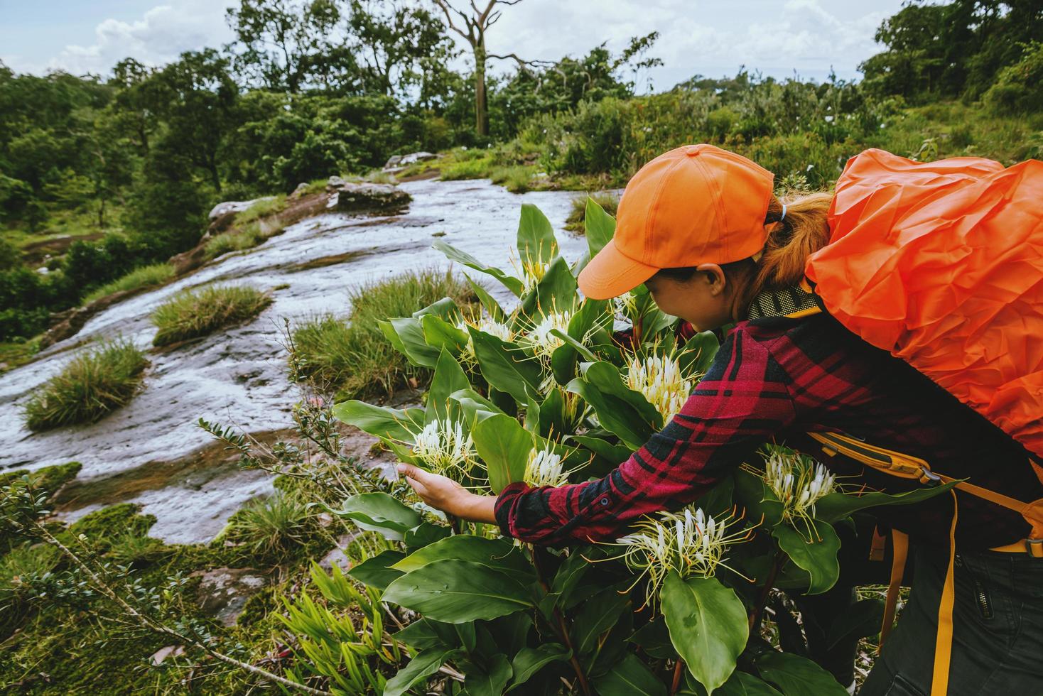 mujer asiática viajes naturaleza. viajar relajarse. caminar estudiar el camino de la naturaleza en el bosque. foto