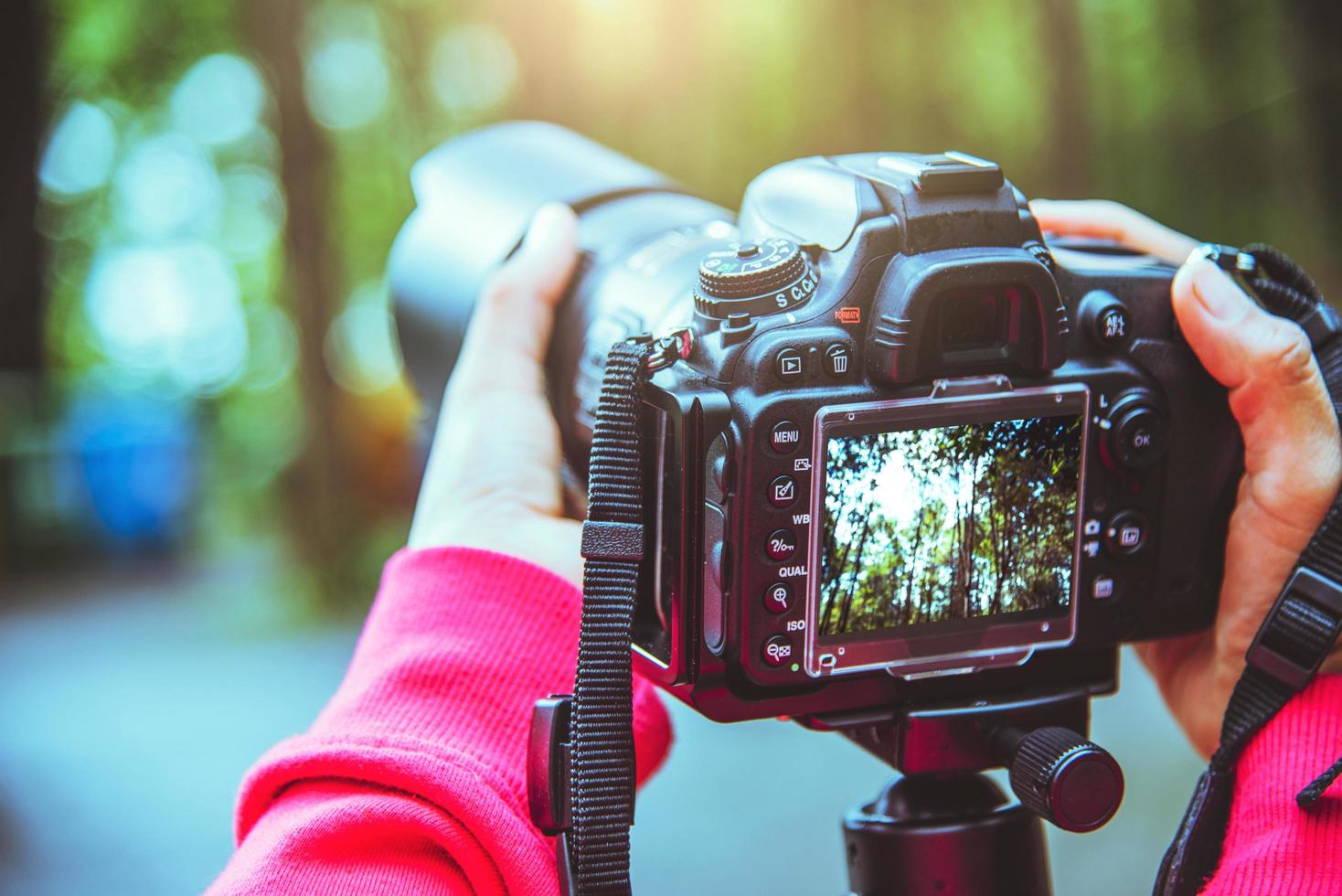 fotografía mujer asiática viajes naturaleza. viajar relajarse. estudio de la naturaleza. en el parque público en verano. parque nacional doi inthanon en tailandia. foto