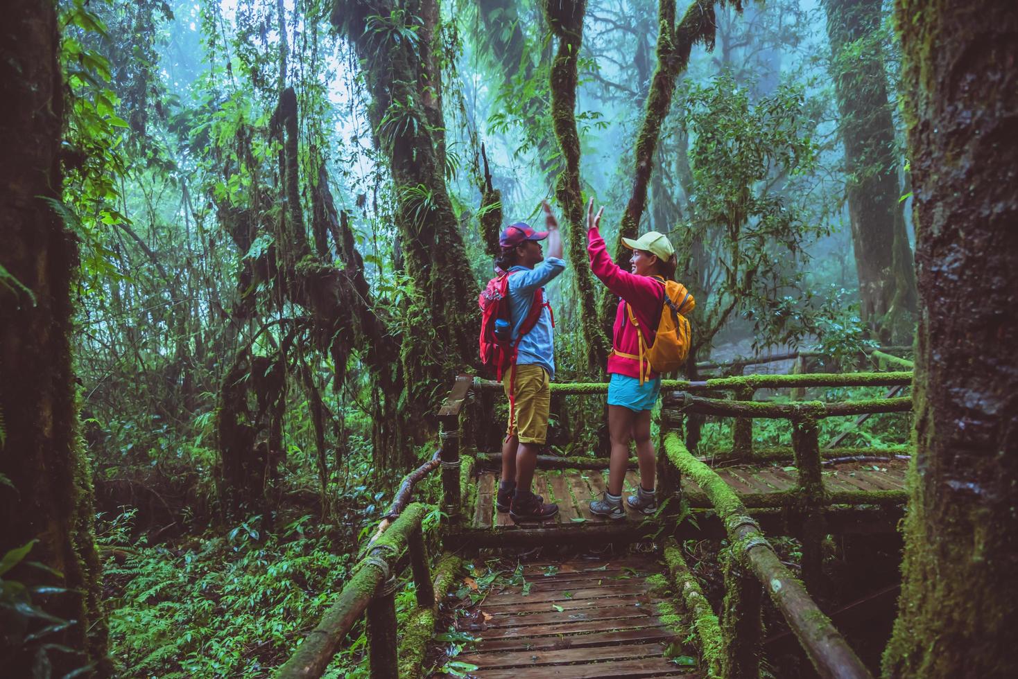 Lover asian man and asian women travel nature. Nature Study in the rain forest at Chiangmai in Thailand. photo