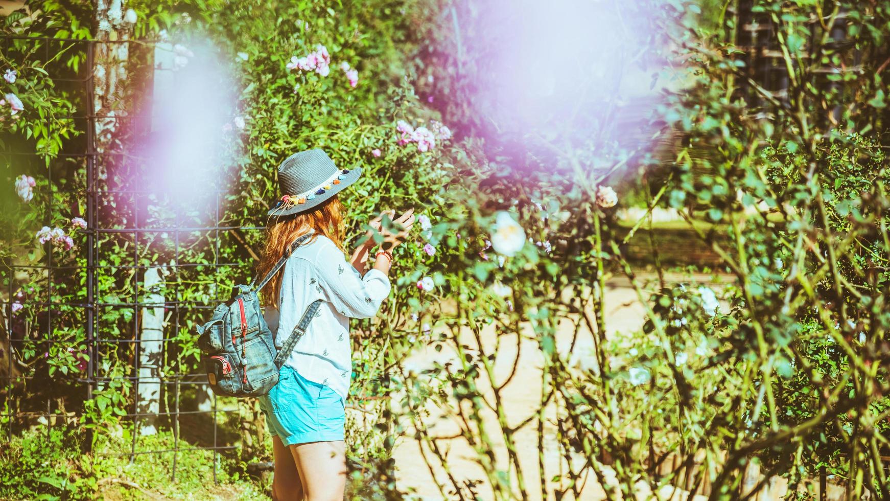 naturaleza de viaje de hombre asiático. viajar relajarse. en el jardín de rosas foto