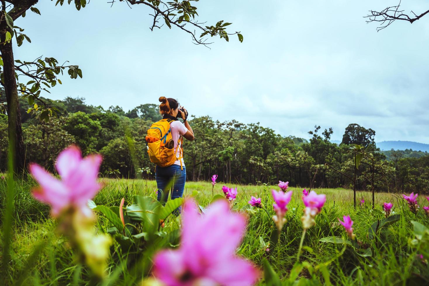 Asian woman travel nature. Travel relax. Photography Cucumber sessilis flower field. photo