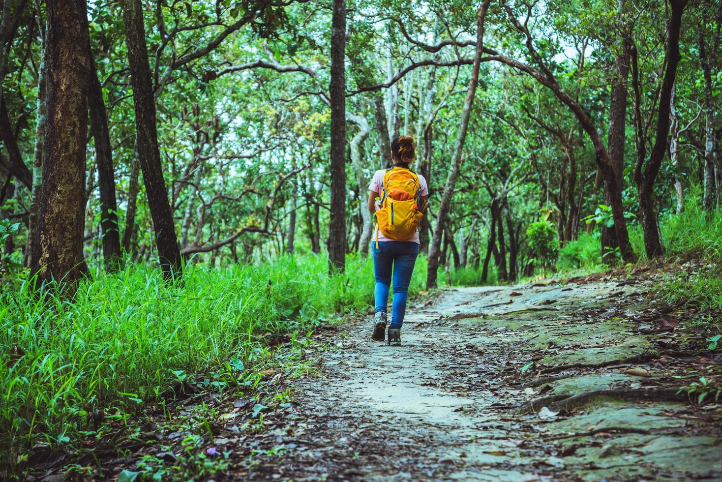 mujer asiática viajes naturaleza. viajar relajarse. caminar estudiar el camino naturaleza en el bosque foto