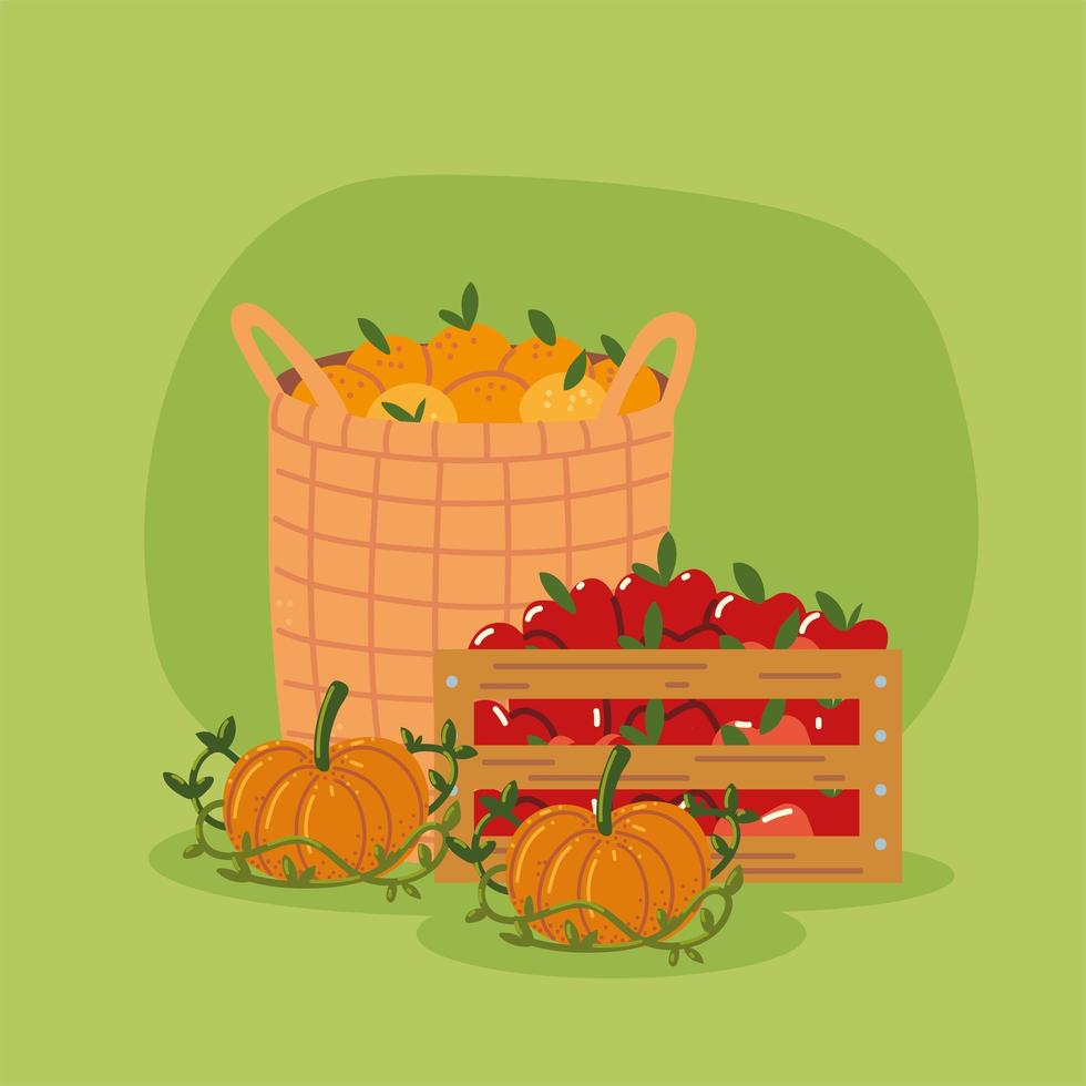 baskets of fruits vector