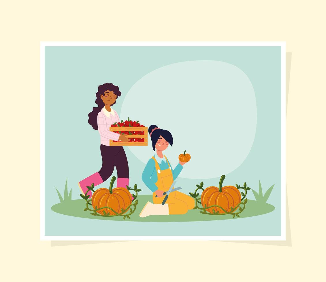 farmers with fruits and pumpkin vector