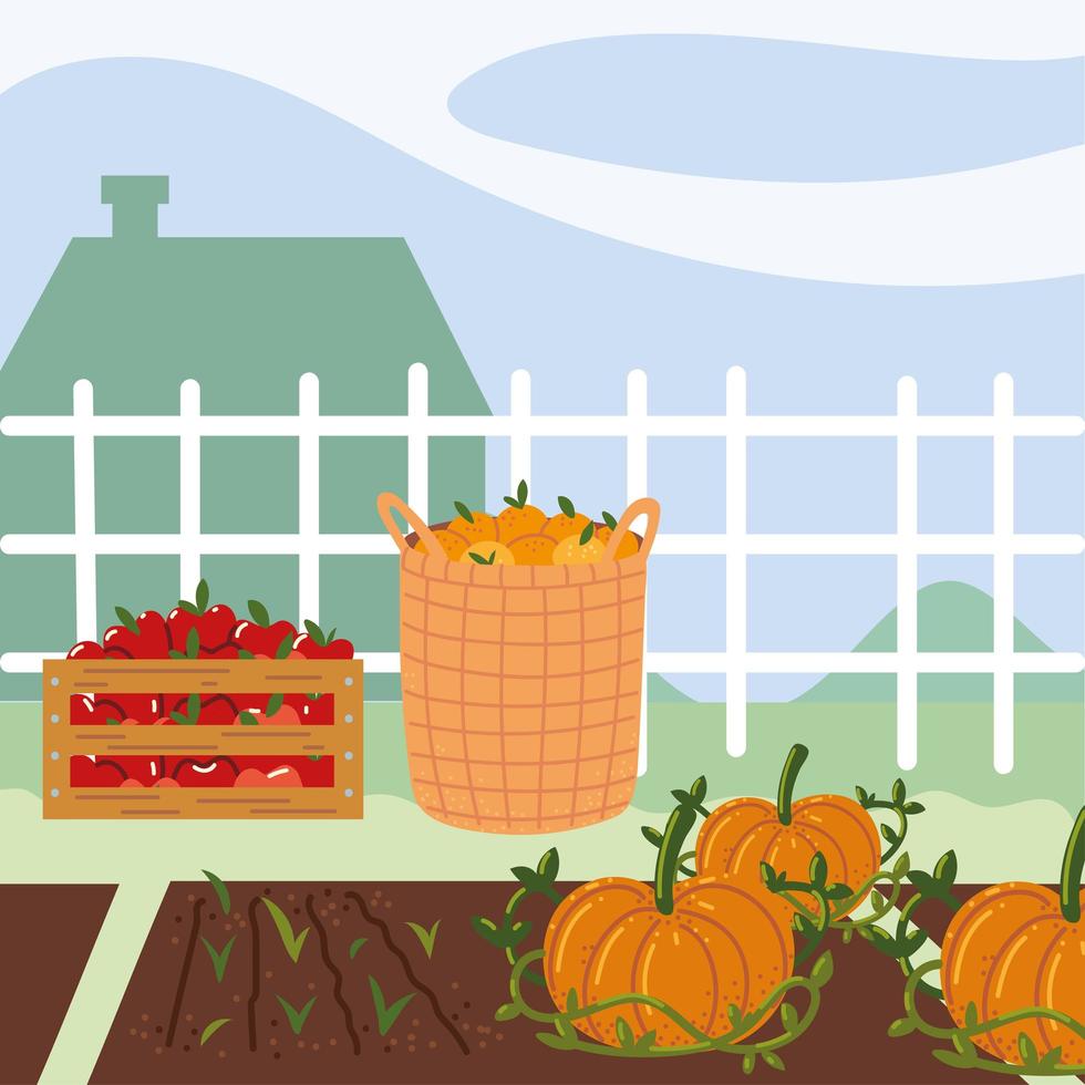 baskets of fruits and pumpkins vector