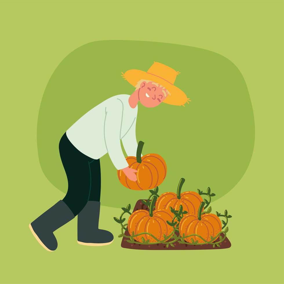 farmer with pumpkins vector