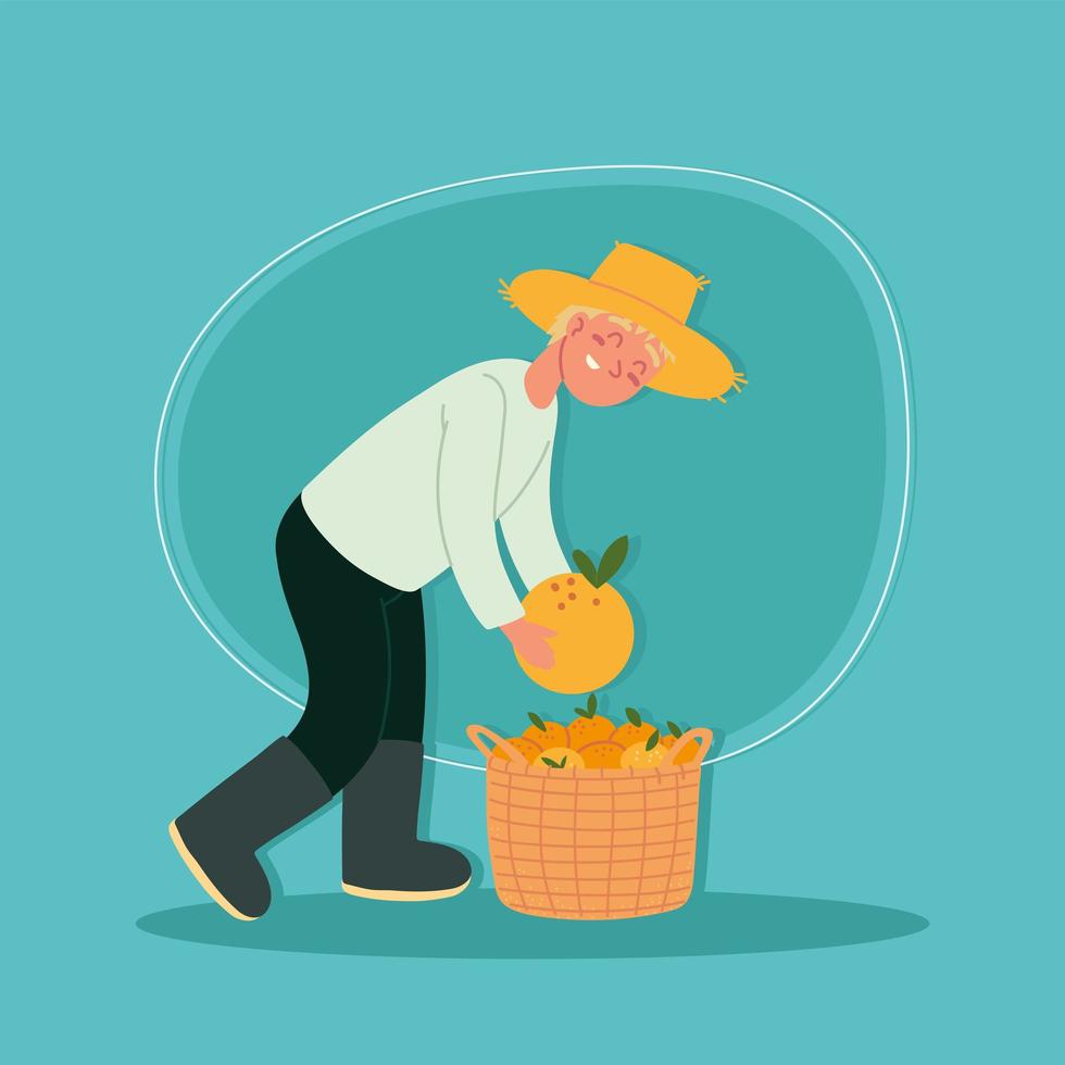 farmer man picking oranges vector