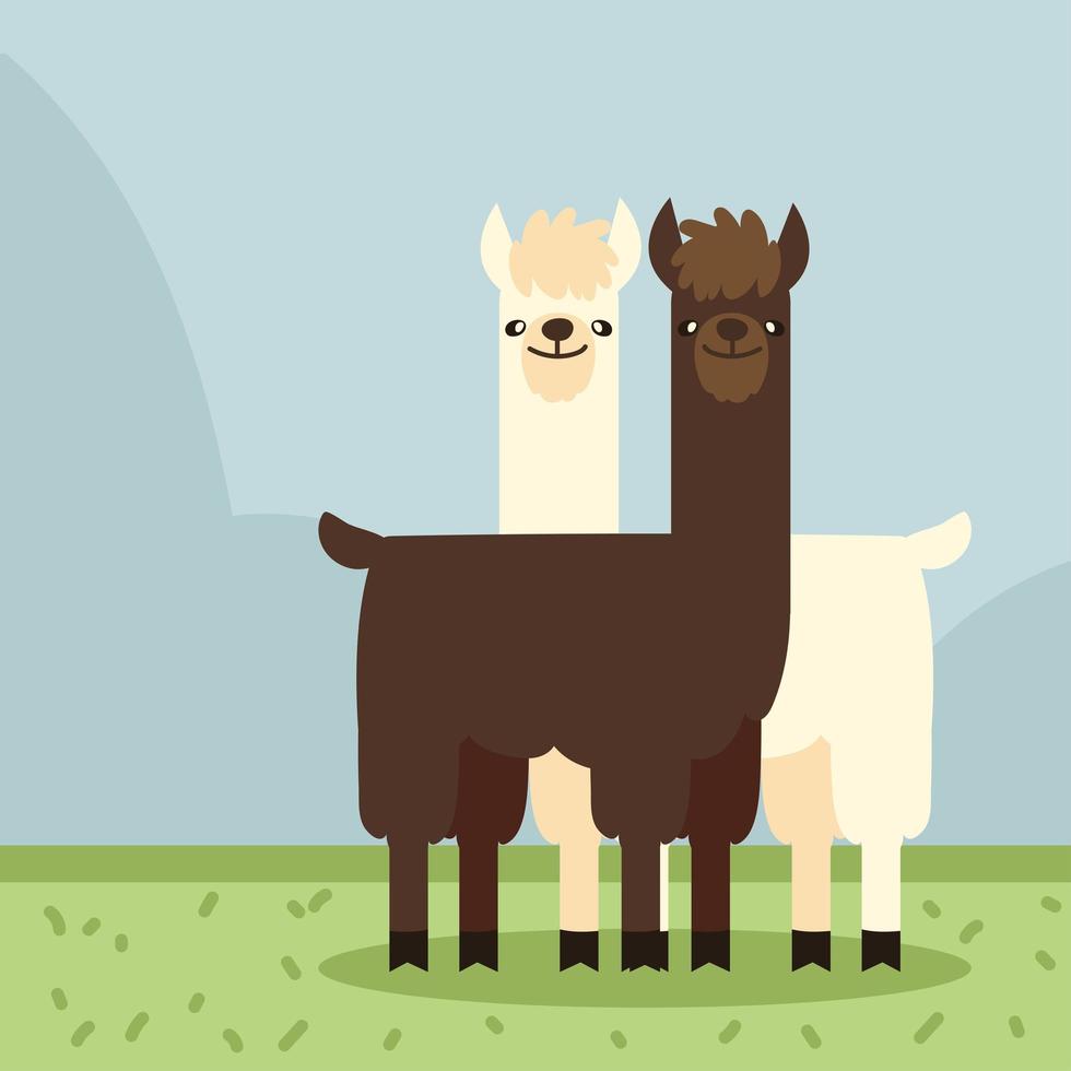 exotic llamas animal vector