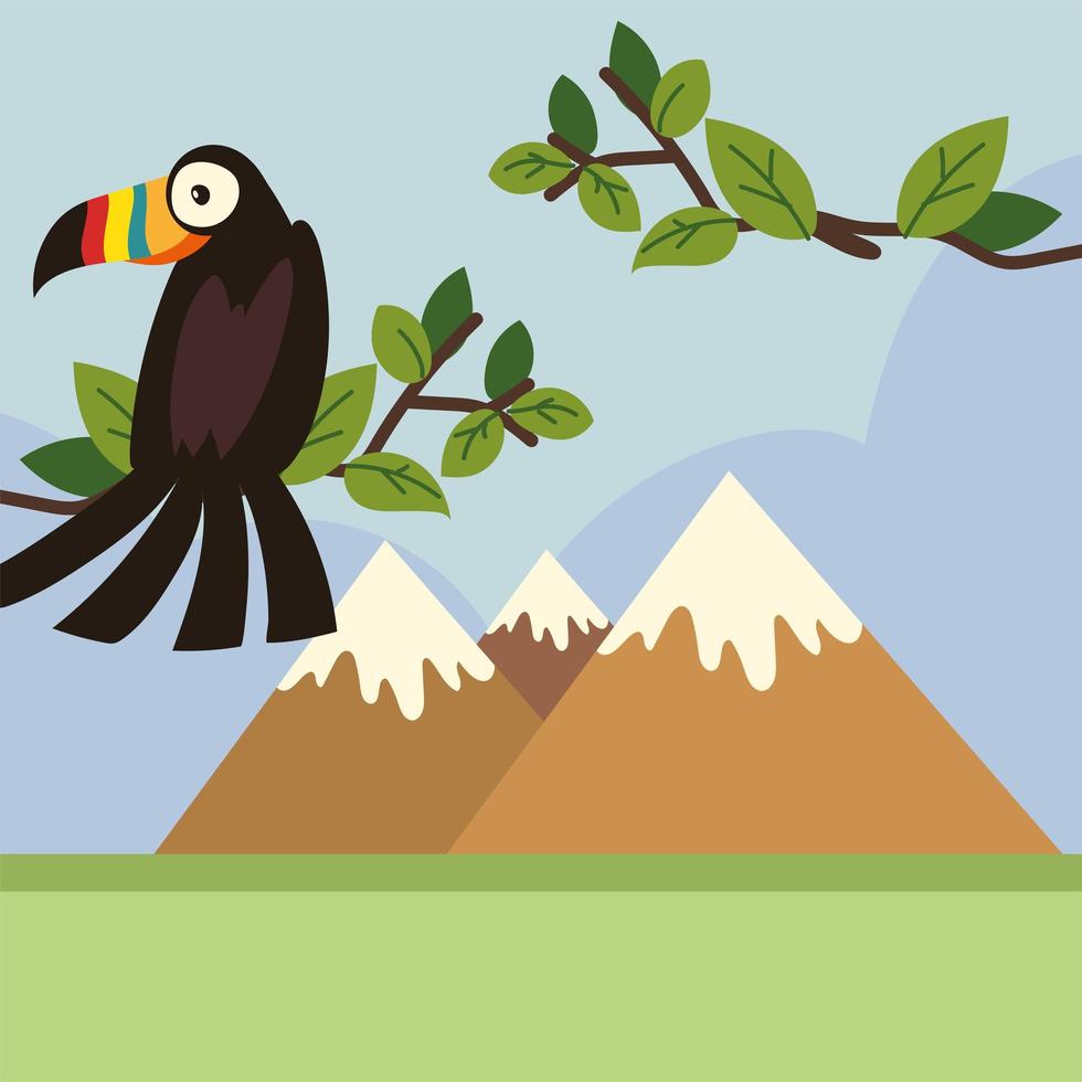 toucan and mountains vector