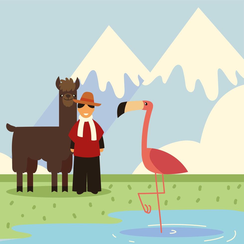 bolivian man, flamingo vector